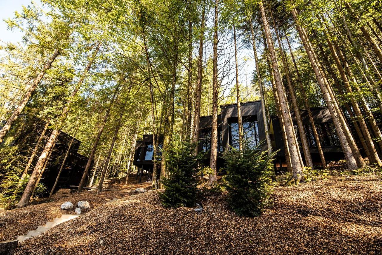 Hotel Fischerwirt Natur Waldspa ファイステナウ エクステリア 写真