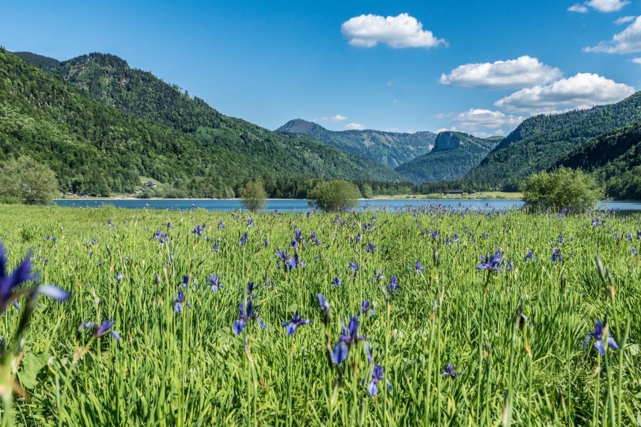 Hotel Fischerwirt Natur Waldspa ファイステナウ エクステリア 写真