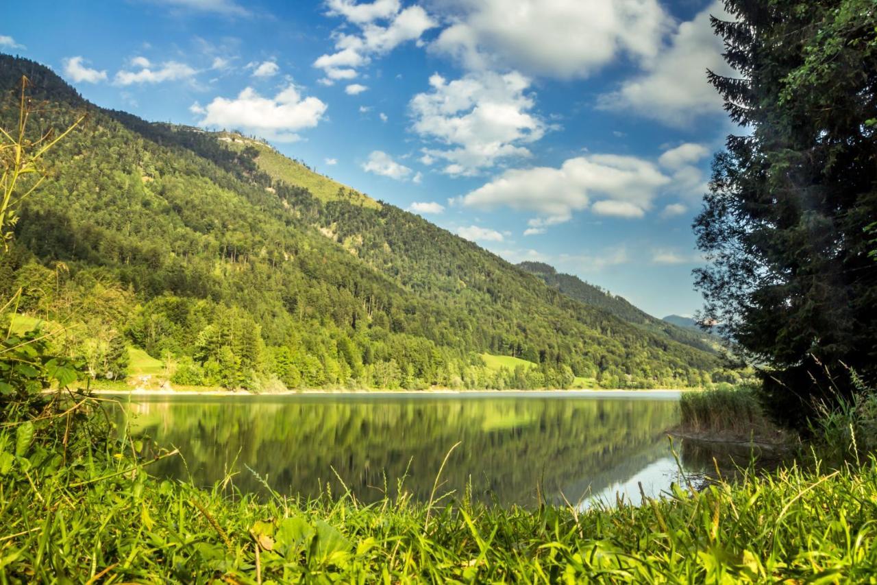 Hotel Fischerwirt Natur Waldspa ファイステナウ エクステリア 写真
